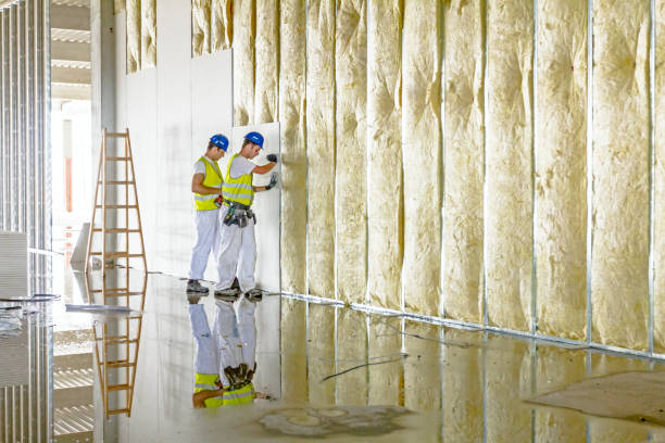 Best Commercial Insulation in Maineville, OH